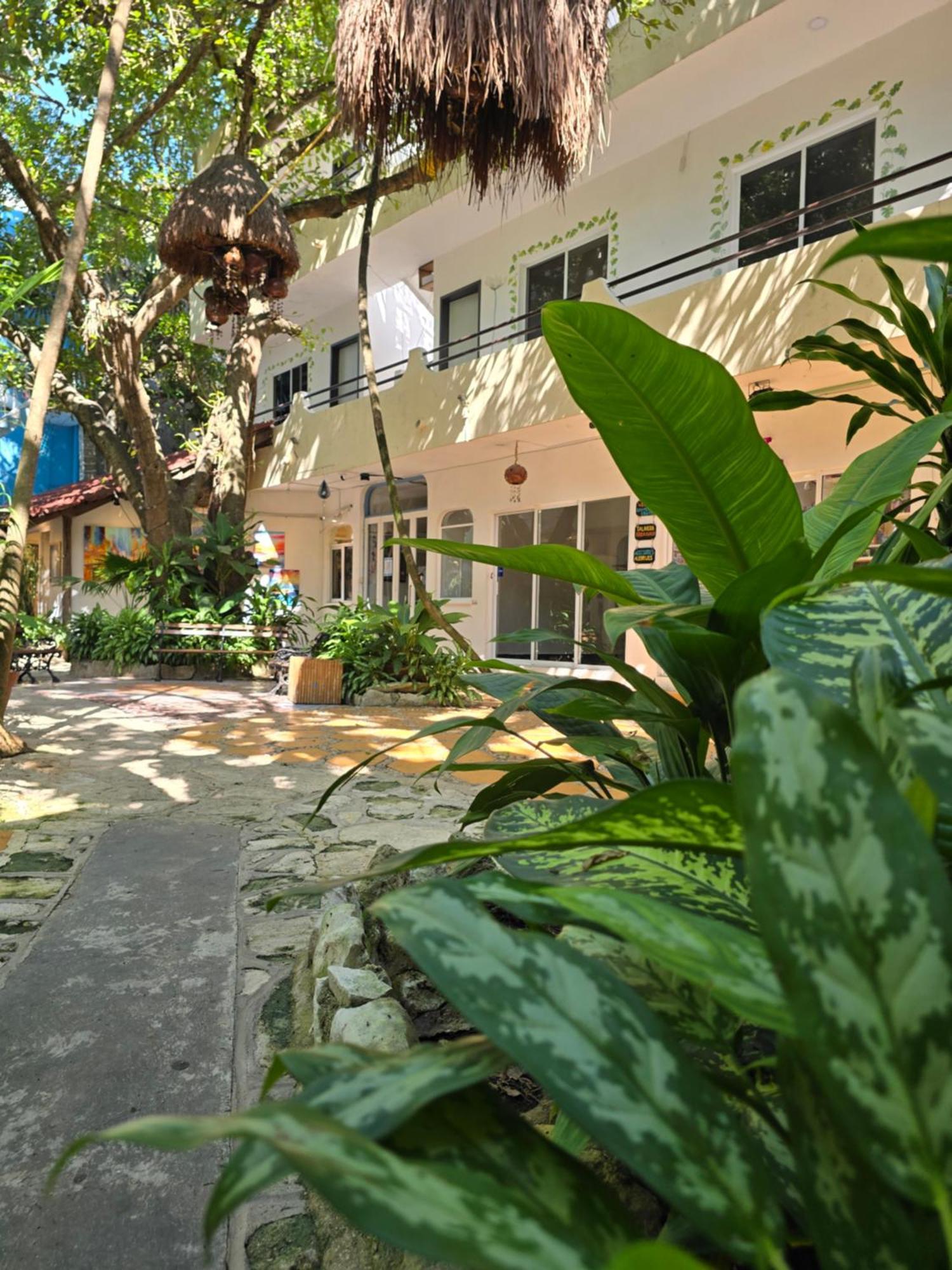 Hotel Ha Garden Gallery - 5Th Avenue Playa del Carmen Kültér fotó
