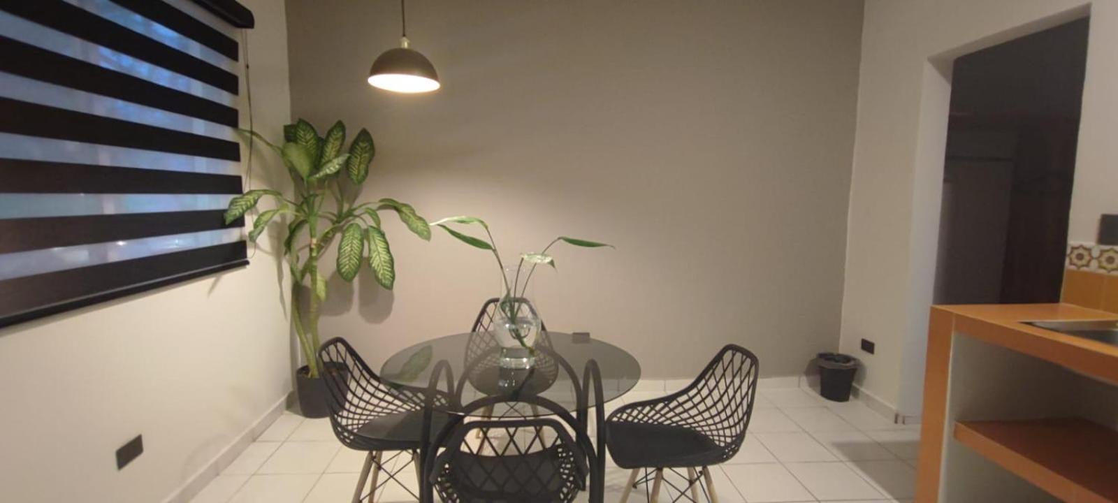 Hotel Ha Garden Gallery - 5Th Avenue Playa del Carmen Kültér fotó