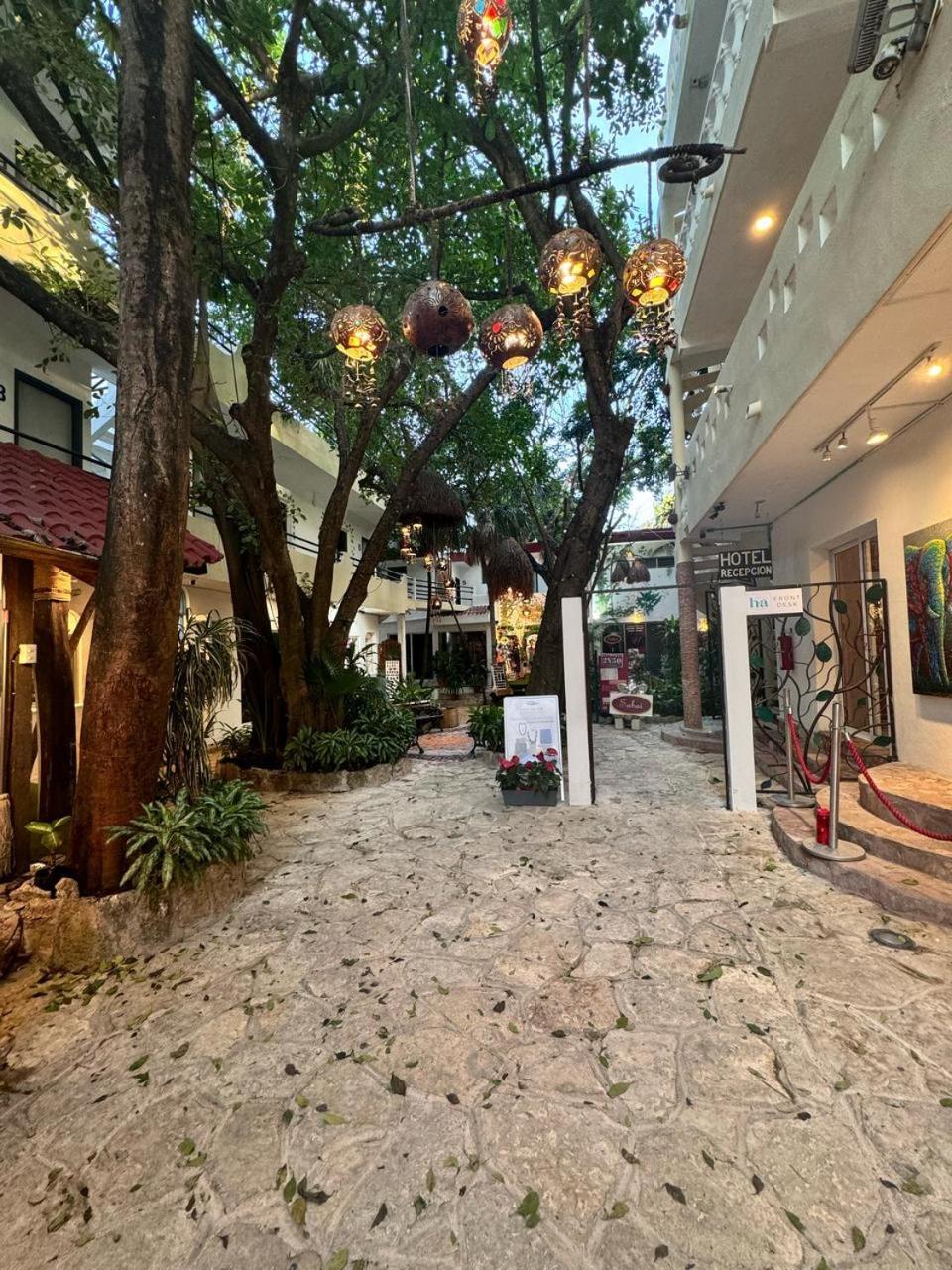 Hotel Ha Garden Gallery - 5Th Avenue Playa del Carmen Kültér fotó