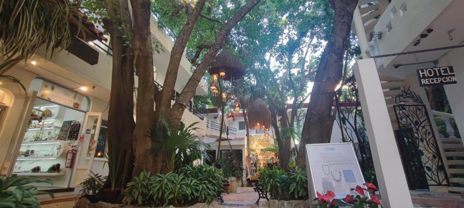 Hotel Ha Garden Gallery - 5Th Avenue Playa del Carmen Kültér fotó