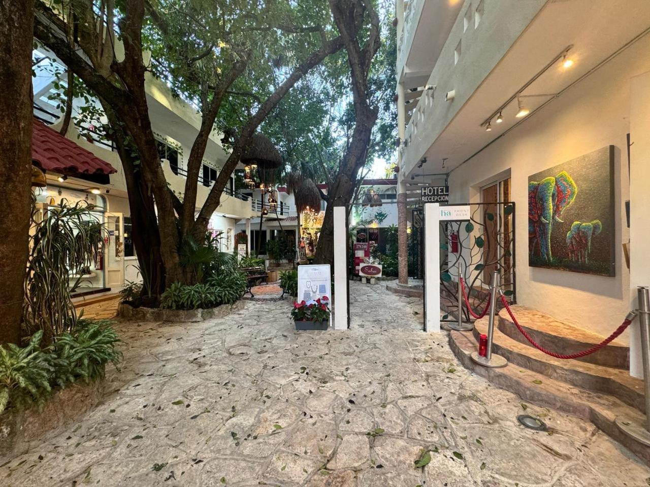 Hotel Ha Garden Gallery - 5Th Avenue Playa del Carmen Kültér fotó