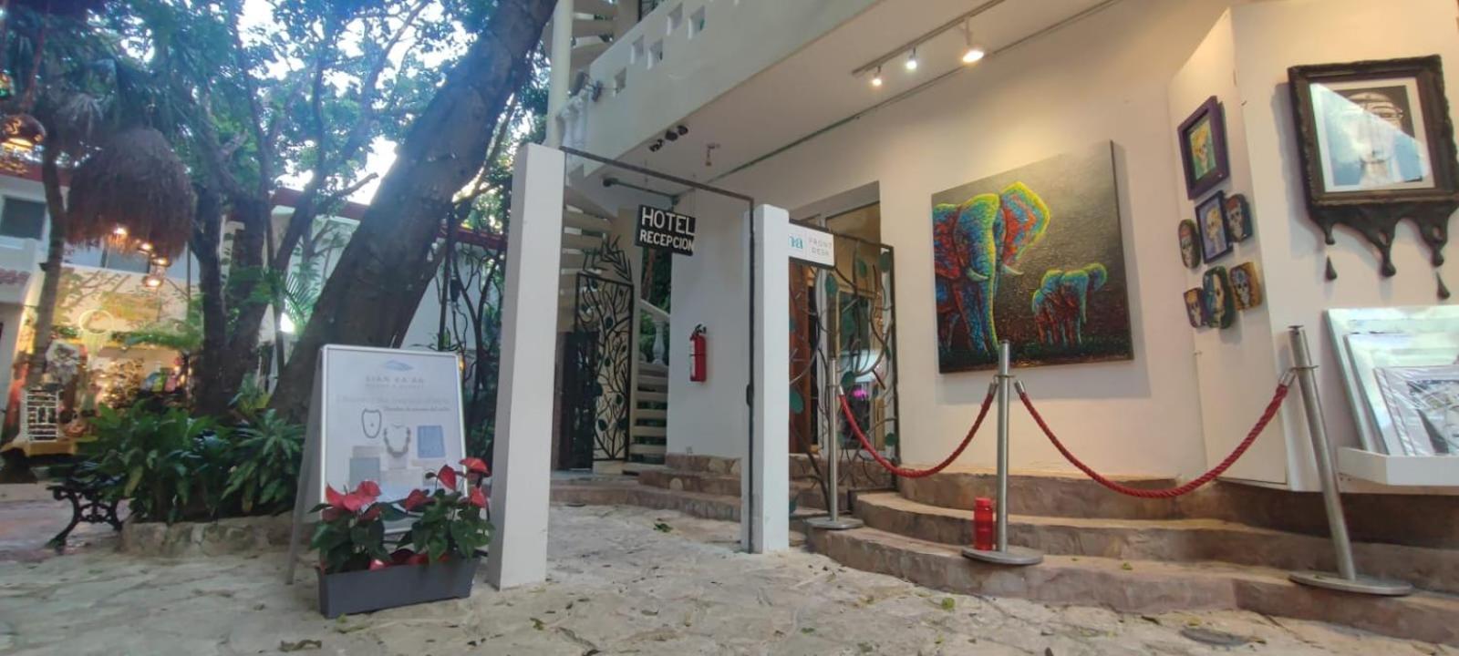 Hotel Ha Garden Gallery - 5Th Avenue Playa del Carmen Kültér fotó